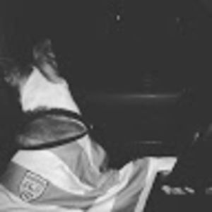 Meet your Posher, Devil dog